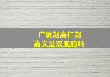 广厦赵嘉仁赵嘉义是双胞胎吗