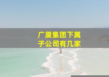 广厦集团下属子公司有几家