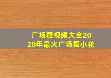 广场舞视频大全2020年最火广场舞小花