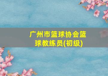 广州市篮球协会篮球教练员(初级)