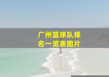 广州篮球队排名一览表图片