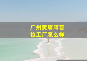 广州黄埔阿普拉工厂怎么样