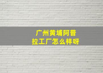 广州黄埔阿普拉工厂怎么样呀