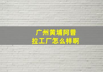 广州黄埔阿普拉工厂怎么样啊