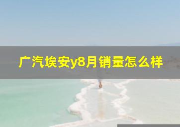 广汽埃安y8月销量怎么样