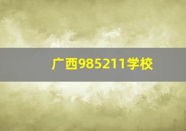 广西985211学校