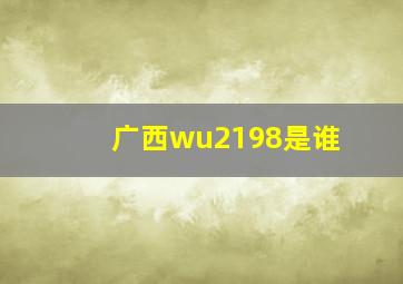 广西wu2198是谁