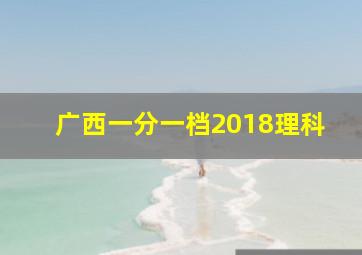 广西一分一档2018理科