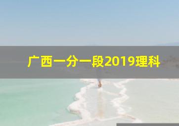 广西一分一段2019理科