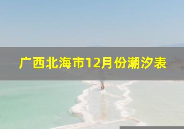 广西北海市12月份潮汐表