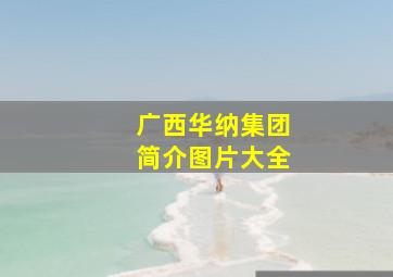 广西华纳集团简介图片大全