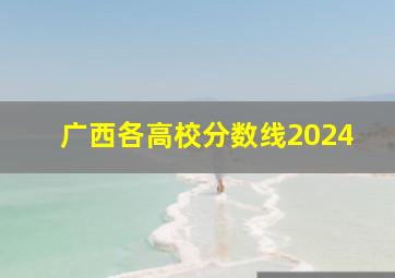 广西各高校分数线2024