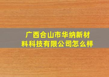 广西合山市华纳新材料科技有限公司怎么样