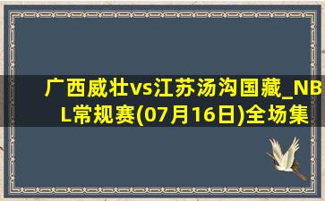 广西威壮vs江苏汤沟国藏_NBL常规赛(07月16日)全场集锦