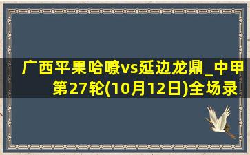 广西平果哈嘹vs延边龙鼎_中甲第27轮(10月12日)全场录像