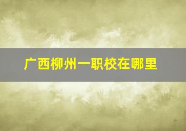 广西柳州一职校在哪里