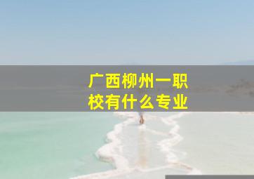 广西柳州一职校有什么专业