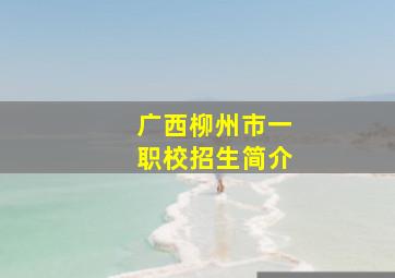 广西柳州市一职校招生简介