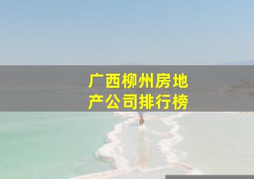 广西柳州房地产公司排行榜