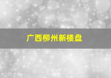 广西柳州新楼盘