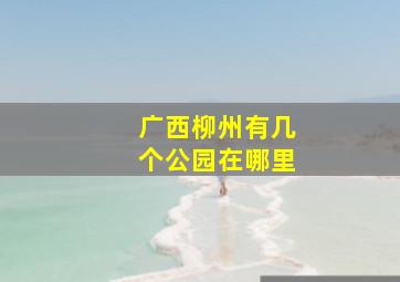 广西柳州有几个公园在哪里