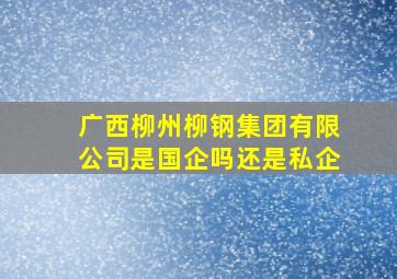 广西柳州柳钢集团有限公司是国企吗还是私企