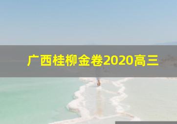 广西桂柳金卷2020高三