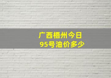 广西梧州今日95号油价多少