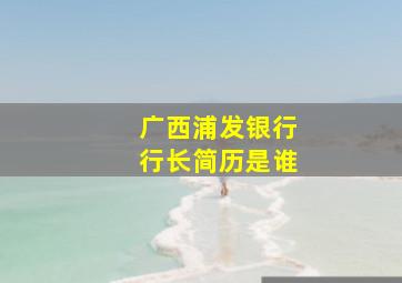 广西浦发银行行长简历是谁