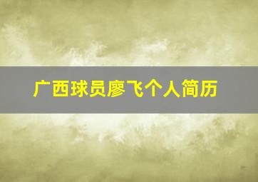 广西球员廖飞个人简历