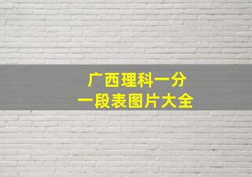 广西理科一分一段表图片大全