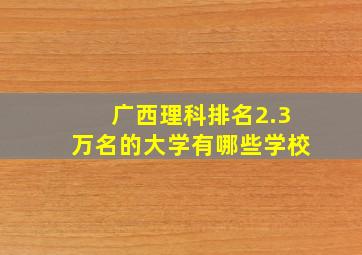 广西理科排名2.3万名的大学有哪些学校