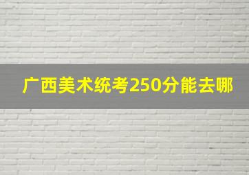 广西美术统考250分能去哪