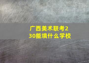 广西美术联考230能填什么学校