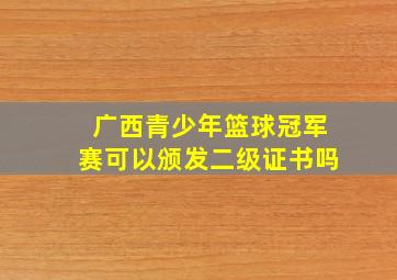 广西青少年篮球冠军赛可以颁发二级证书吗