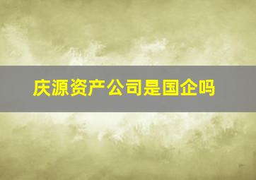 庆源资产公司是国企吗