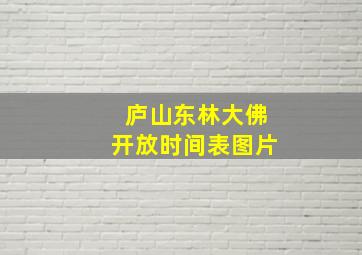 庐山东林大佛开放时间表图片