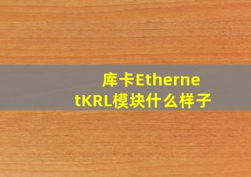 库卡EthernetKRL模块什么样子