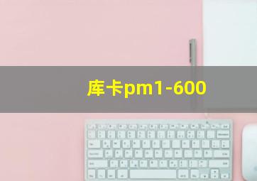 库卡pm1-600