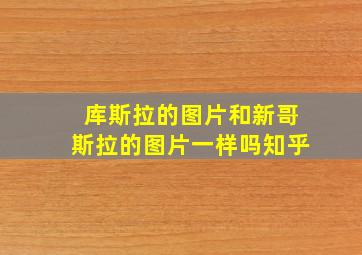 库斯拉的图片和新哥斯拉的图片一样吗知乎