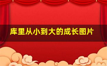 库里从小到大的成长图片