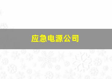 应急电源公司