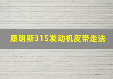 康明斯315发动机皮带走法