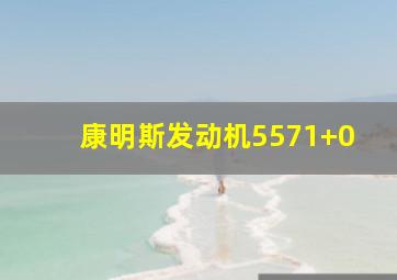 康明斯发动机5571+0