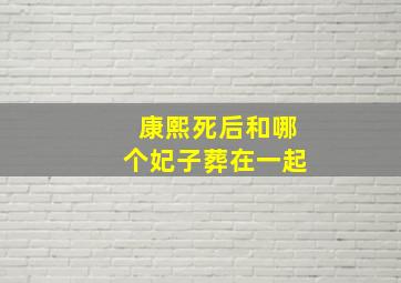 康熙死后和哪个妃子葬在一起