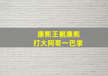 康熙王朝康熙打大阿哥一巴掌