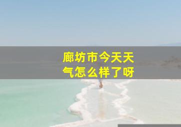 廊坊市今天天气怎么样了呀