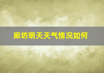 廊坊明天天气情况如何