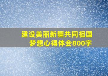 建设美丽新疆共同祖国梦想心得体会800字