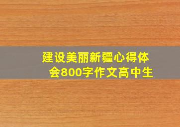 建设美丽新疆心得体会800字作文高中生